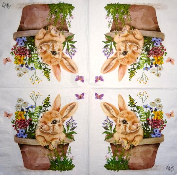 105 Rabbits:  natürlich - 3-ply
